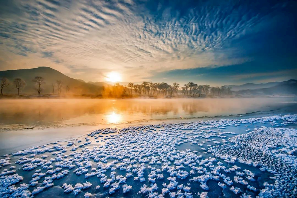 000135dc183046efa0f51257e5f7e753.png