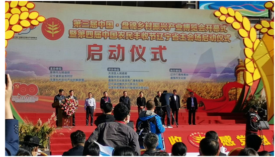fbe768b21881485b9cf38e65f8e307fc.png