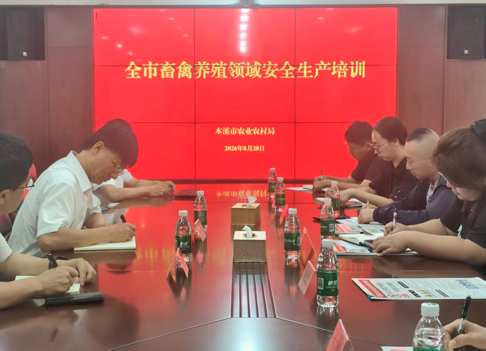 9ade1ad23aee468095bbda60aaec902b.png
