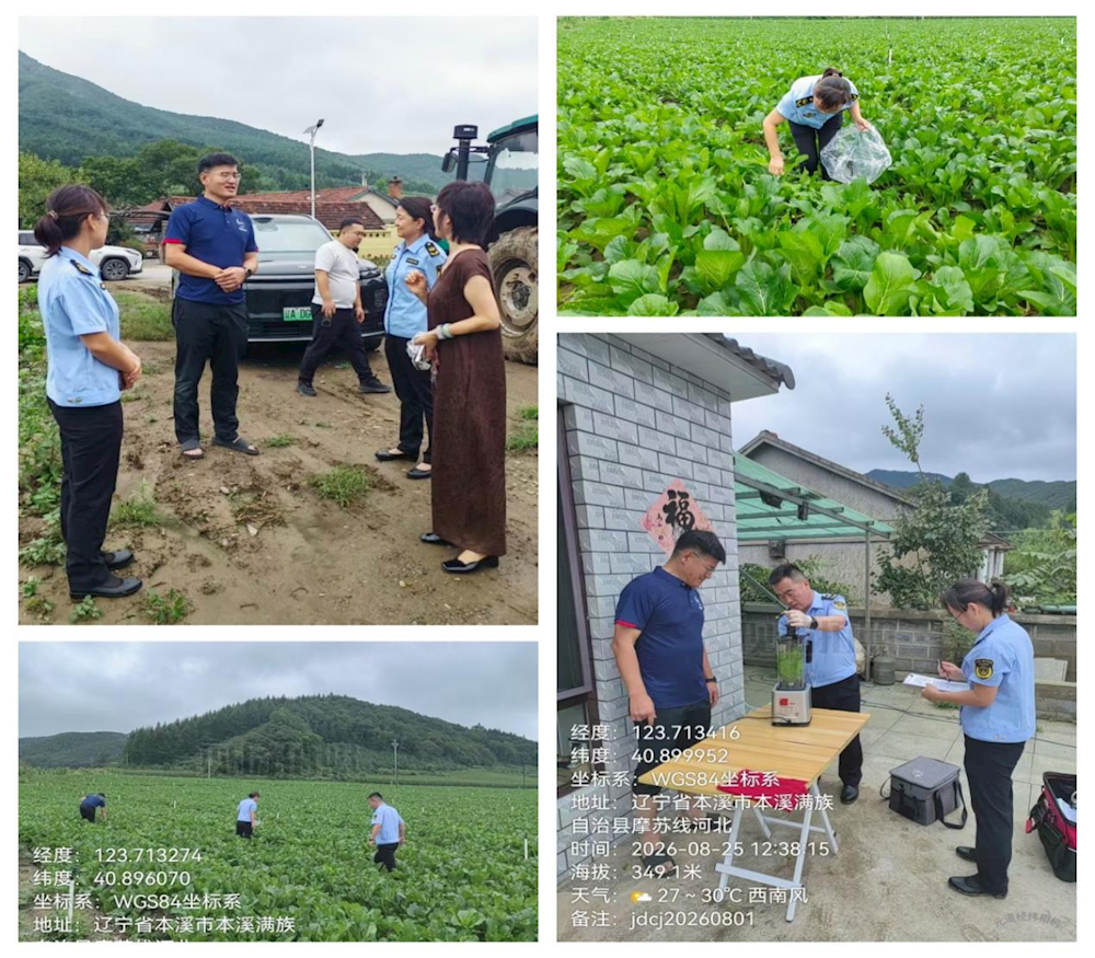 靠前服务精准赋能 严把采收关口 筑牢连山关镇菜心质量安全防线